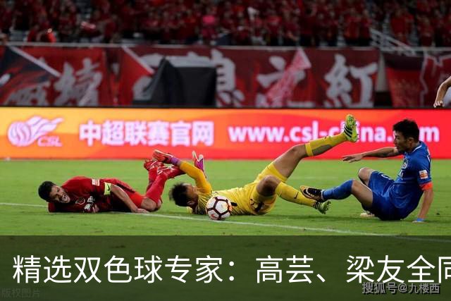 精选双色球专家：高芸、梁友全同中二等279万！