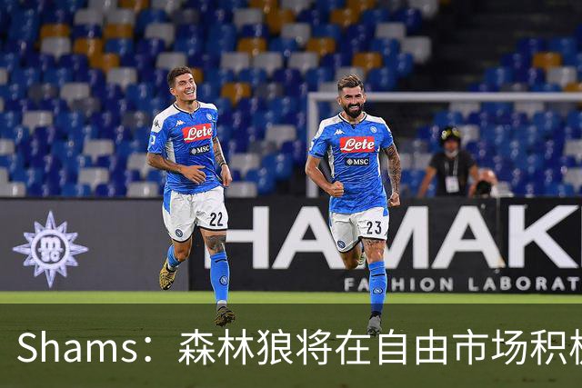 Shams：森林狼将在自由市场积极补强4号位 但他们只能提供底薪